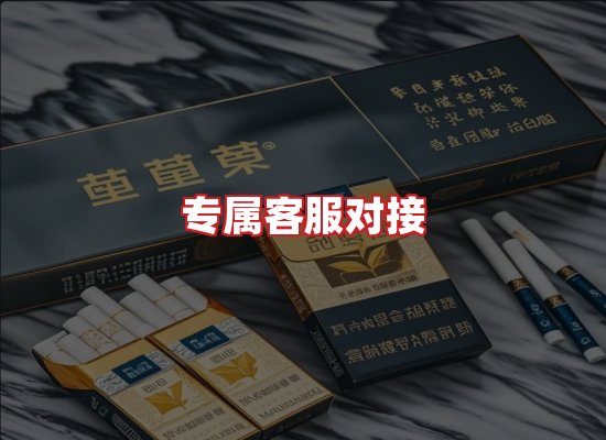 专业团队